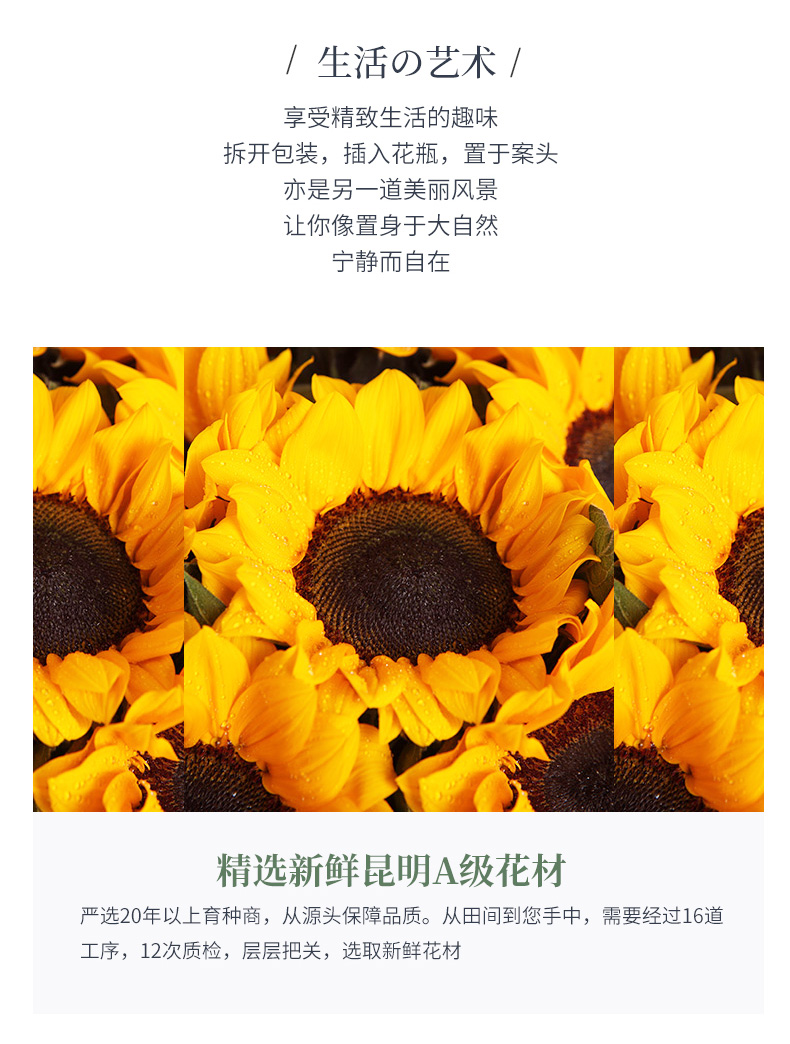 向日葵之歌_07.jpg