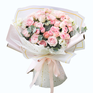 爱莎-爱莎玫瑰粉雪山玫瑰 朋友长辈生日玫瑰花