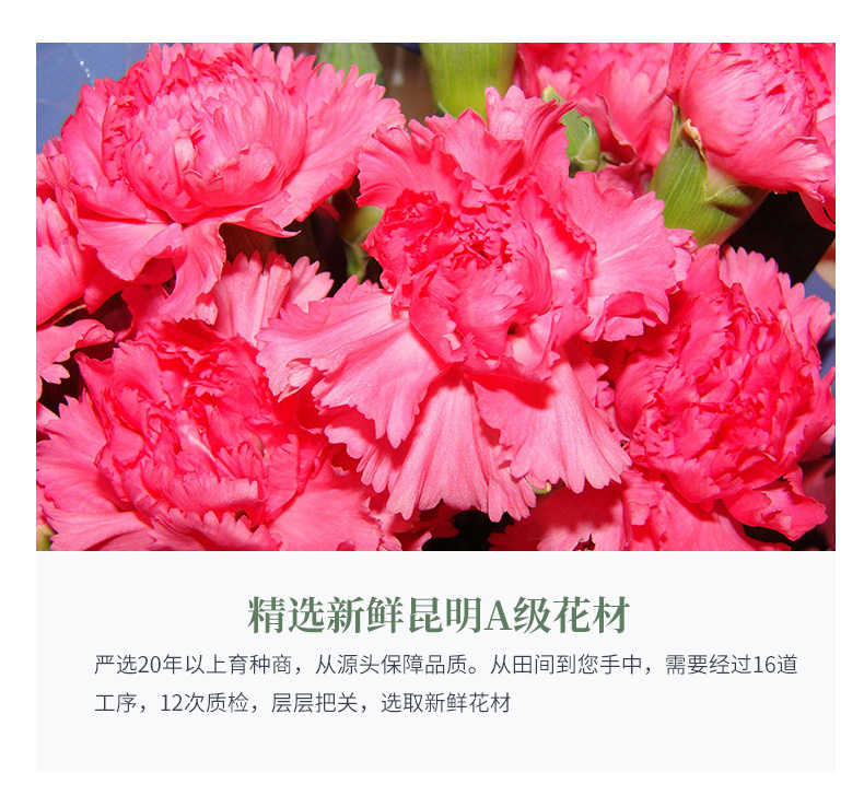 031母爱_06.jpg