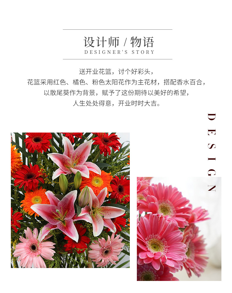 04骏业肇兴_04.jpg
