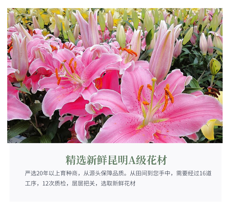 04骏业肇兴_07.jpg