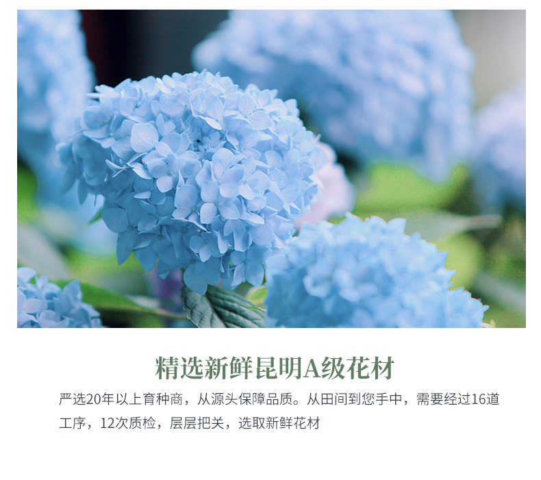 02大展宏图_07.jpg